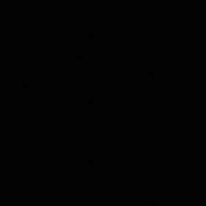 Meet your Posher, Melony